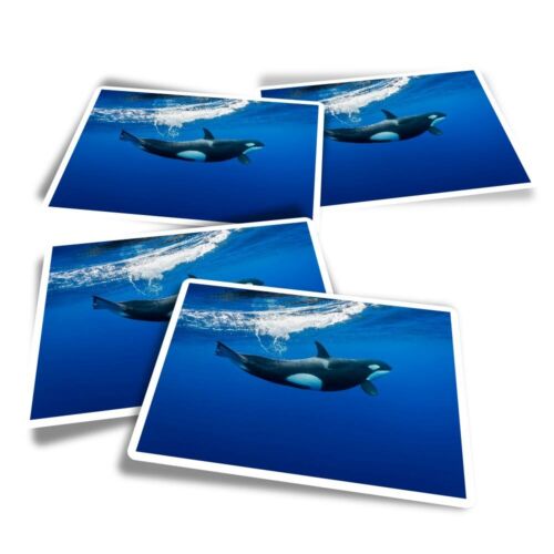 4x Rectangle Stickers - Orca Killer Whale Underwater #2006 - Afbeelding 1 van 8