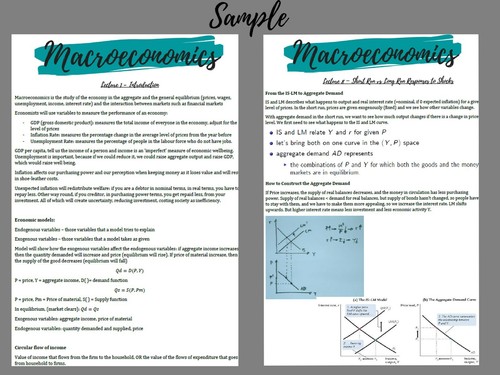 Economics MACROECONOMICS (1st Year Uni) Aesthetic Clear Detailed Revision Notes - Picture 3 of 3