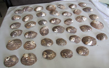 Mother of Pearl Clam Shells Set of 40 Fifty Year Old Stock for Making Jewelry