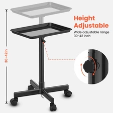 TASALON Premium Salon Tray on Wheels,Adjustable Height Ample Storage，Black