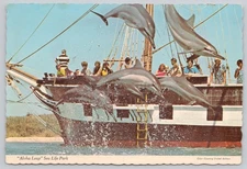 Continental Postcard Hawaii Makapuu Sea Life Park Dolphins