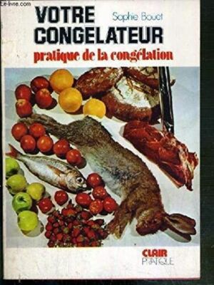 Ihr Kong_lateur, Praxis der Kongation_Brosche_] by Bouet Sophie