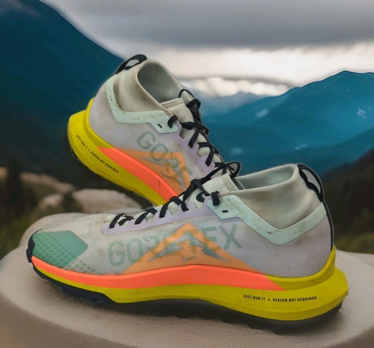 シューズ NIKE - NIKE REACT PEGASUS TRAIL 4 GORE-TEX GTX Nike React Pegasus Trail 4 Gore-Tex Black Reflect Silver