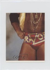 1992 Merlin WWF Album stickers Scott Hall Razor Ramon #159 1u6