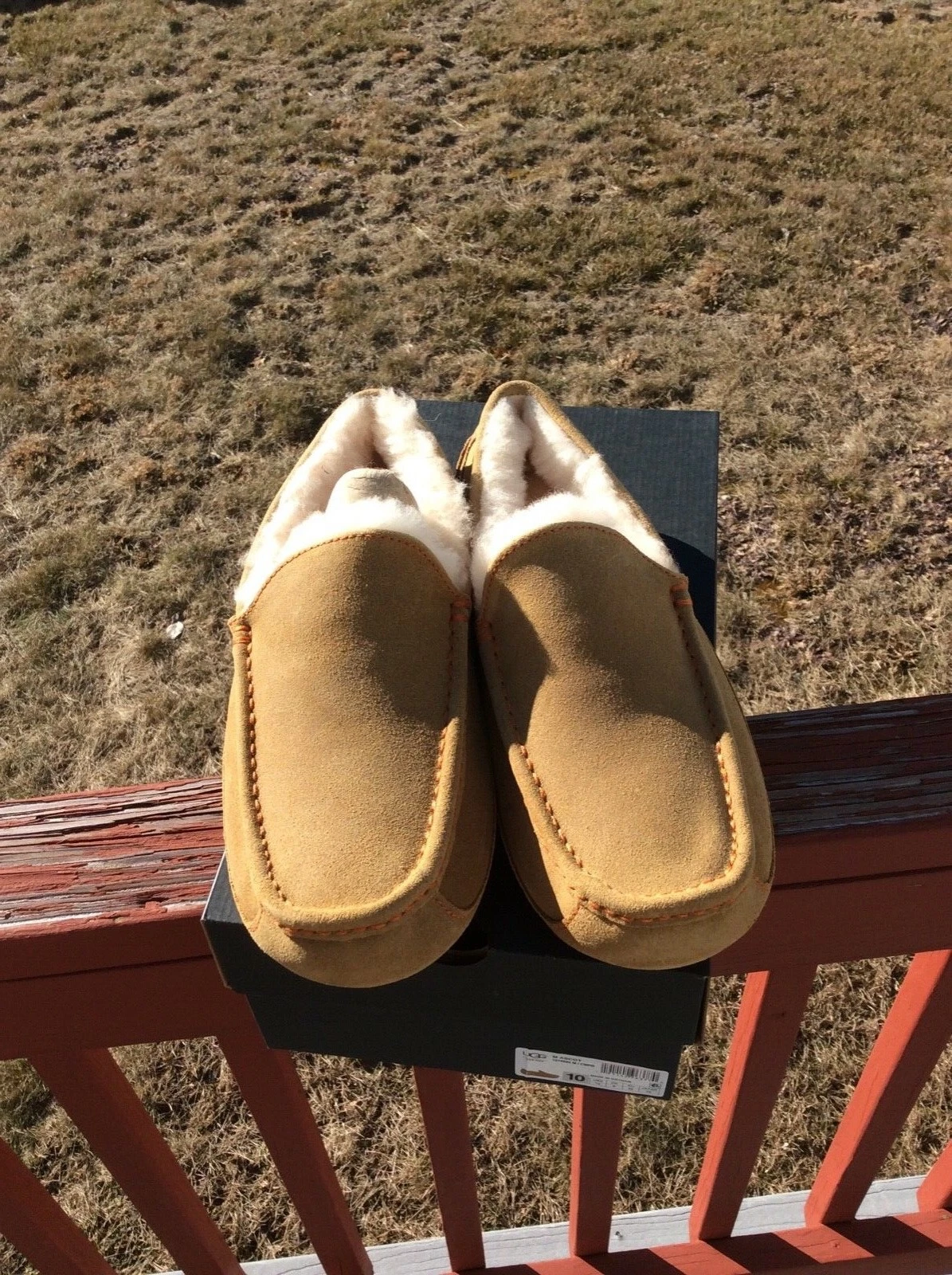 UGG M ASCOT PANTOFOLE