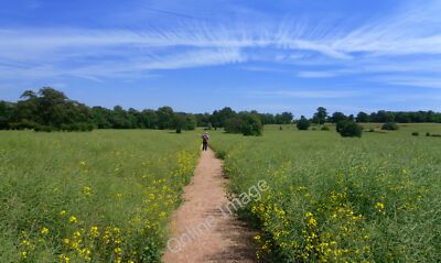 Photo 6x4 The London Loop near Elstree Borehamwood The London Loop path g c2011