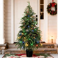 Outdoor Christmas Trees for Porch: Realistic Norfolk Pine, 4FT Christmas Tree wi