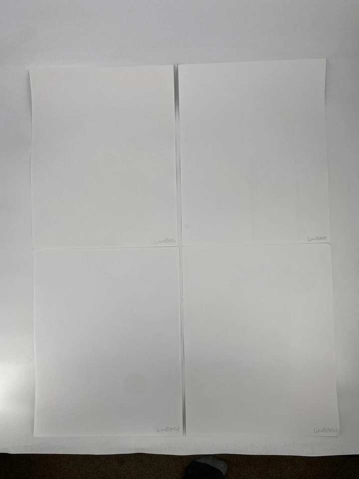 LOTE DE 8 CARTELES DECORACIÓN HOGAR FLORES LINN WOLD Foto 2 de 4