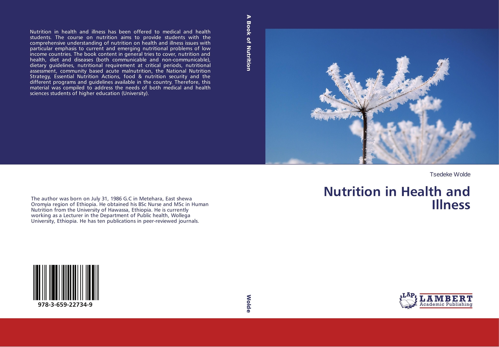 Thumbnail - Nutrition In Health And Illness Tsedeke Wolde Taschenbuch Paperback