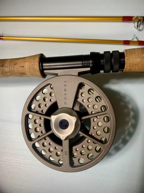 Sage Smallmouth bass fly rod with Lamson Konic reel and intermediate line eBay