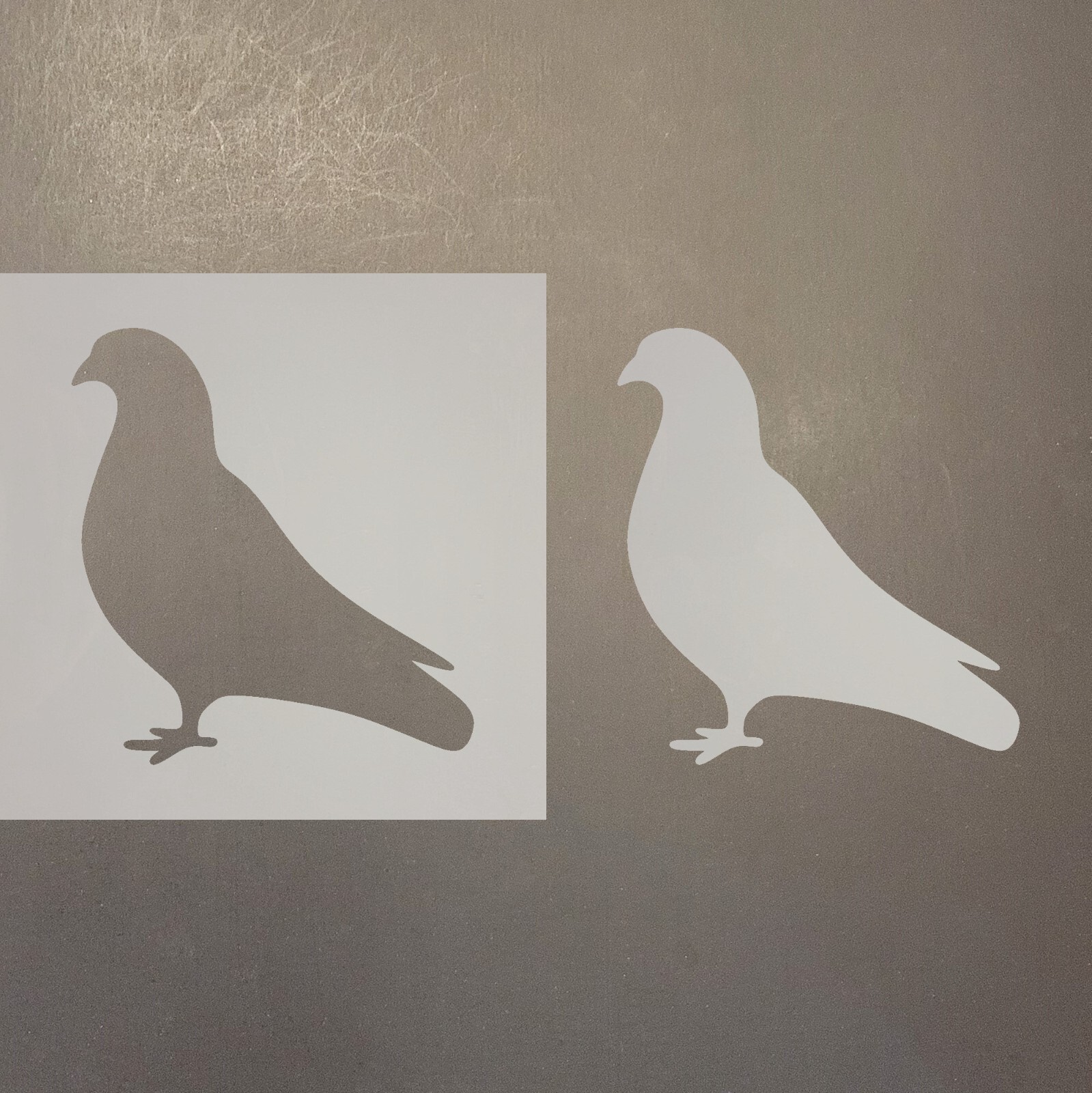 Pigeon Plastic Mylar Stencil Airbrush Painting Art Supplies Falak Tayyeb Platinum Government