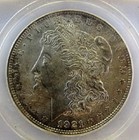 1921 P MORGAN DOLLAR VAM 19A Retained Cud AMERICA ANACS MS63 TOP GRADER 2 FINER — photo 5