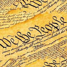 We The People 22 - 20" x 38" Hydrographic Film Hydro Dipping