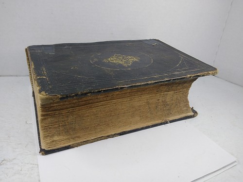 1877 King's New American Family Physician By John King - Afbeelding 6 van 19