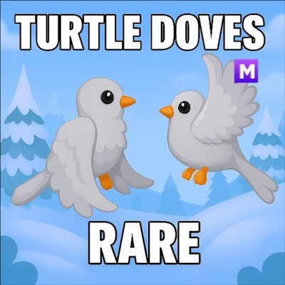 MEGA NEON TURTLE DOVES (BILLIG) ADOPTIEREN SIE EIN HAUSTIER VON MIR - BILLIGSTES AUF EBAY 