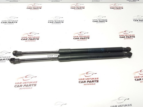 BMW 1 (E82/E88) 2009 Set Stoßdämpfer Kofferraumklappe 7166758 GUST7269