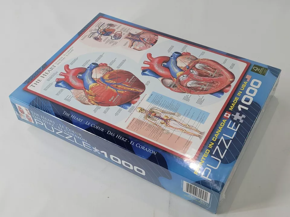 The Heart Realistic Anatomy Human Biology Diagram 1000 Piece Jigsaw Puzzle NEW! - Image 2 of 3