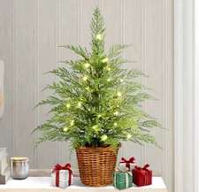 My Texas House 2' Pre-Lit Cypress Pot Artificial Christmas Tree NEW 2025 24"