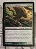 MTG Sapling of Colfenor x1 NM ~Eventide (Magic the Gathering)*Free Shipping*