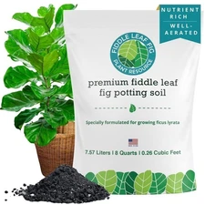 Fiddle Leaf Fig Soil – Organic, Fast-Draining Mix for Growth & Healthy Roots