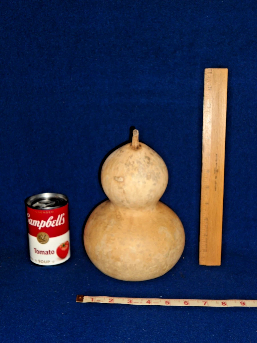 バングラデシュ野菜 ラウ（夕顔／Bottle Gourd）訳あり品価格 23kg