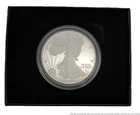 Fine Silver American Eagle .999 1 Ozt 2023 Proof Bullion Coin w/ Box COA
