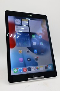 Apple iPad Air 2 32GB WLAN A1566 Space Grau Displayschaden #5154