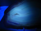 5.9oz AGATE SLICE 7.3inx4.3inx .15in 169g BRAZIL TANS/BROWN FLUORESCENT #177 — photo 2