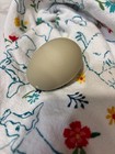 12+ ALOHA CHICKEN HATCHING EGGS — photo 2
