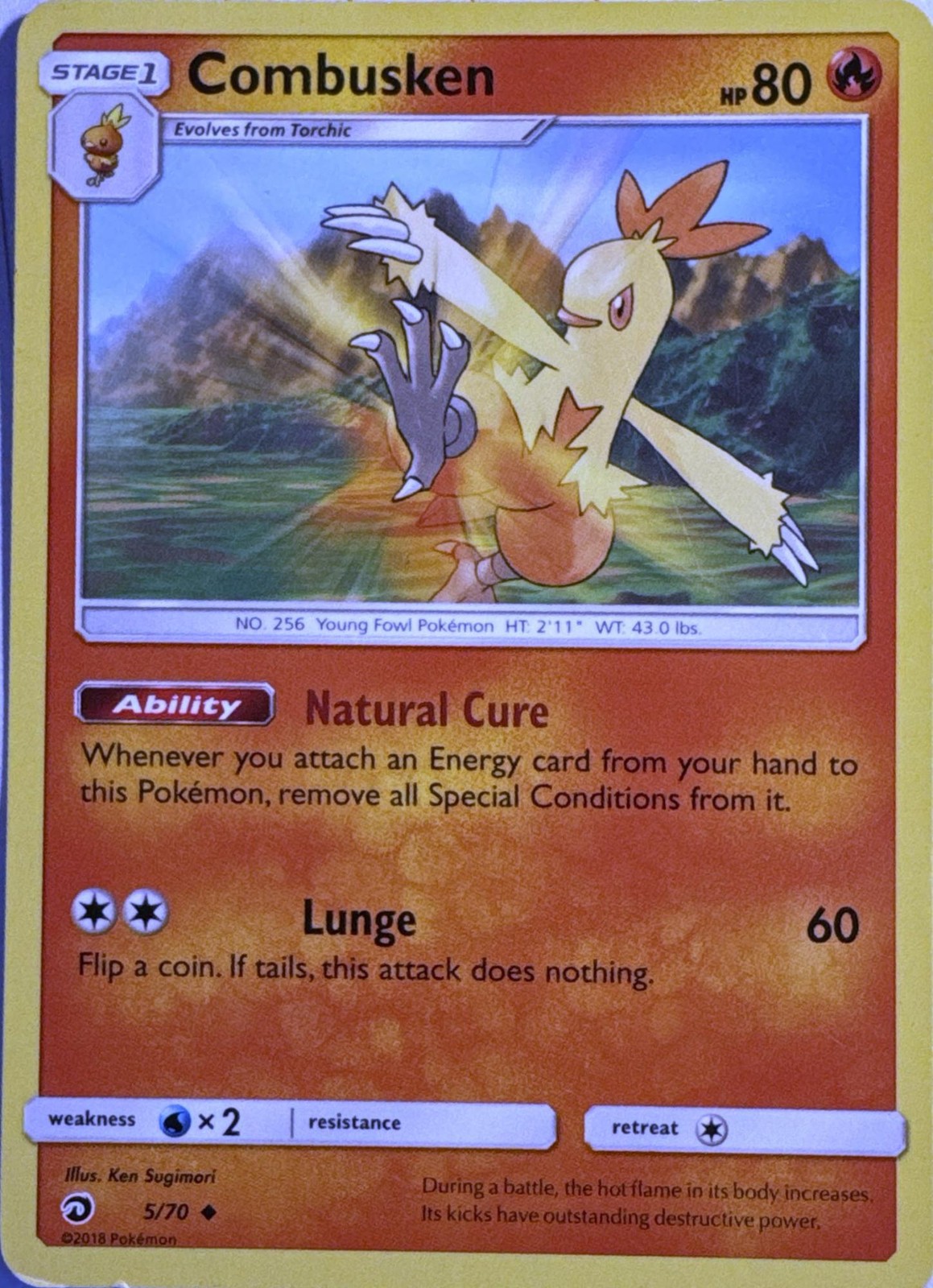 Combusken 5/70 Uncommon Dragon Majesty Pokemon Lightly Played
