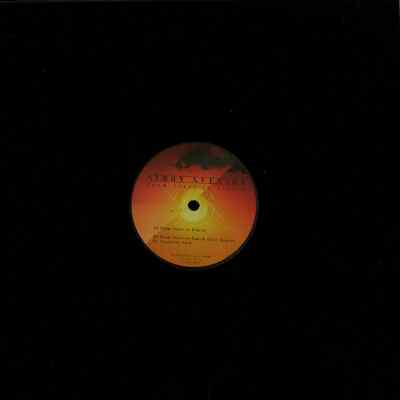 Simon Svenson / FROM START TO FINISH / Suricate / suri001 / 12 Inch