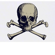 'Skull  Crossbones' Temporary Tattoos / Transfers TO00057177 