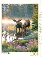 Calvendo Puzzle Nordic Freedom | 1000 Pieces, Finished Size 25.2 × 18.9 In (64 ×