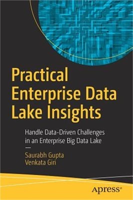 Practical Enterprise Data Lake Insights: Handle Data-Driven Challenges in an Ent
