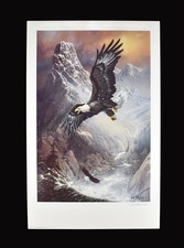 Vintage "Save The Eagle" Limited Edition Lithograph - Signed By Ted Blaylock