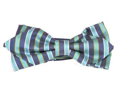 Papillon Uomo Pre-Annodato - Look Seta 12x6cm Regolabile - Foto 4