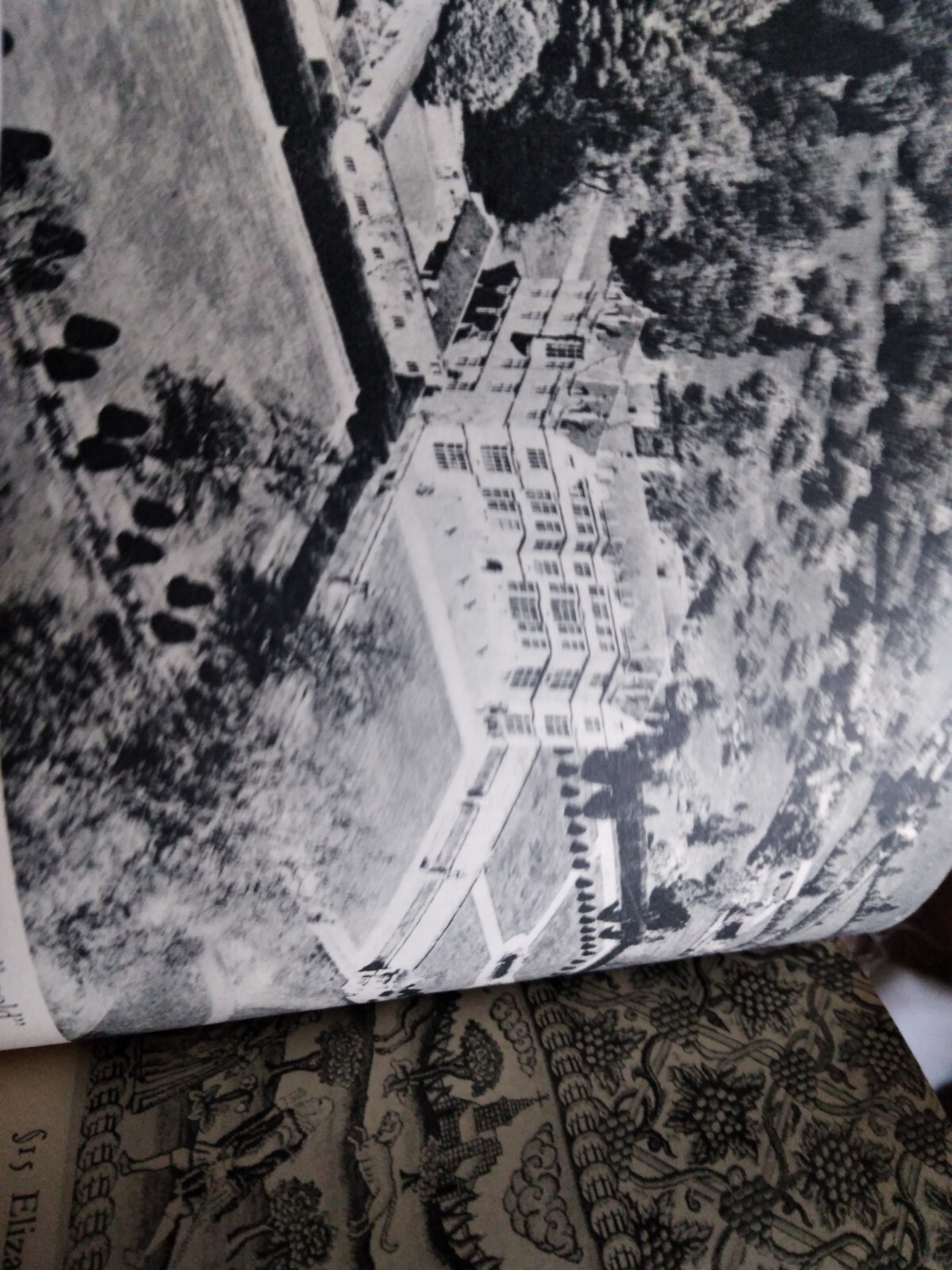 Picture 14 of 19