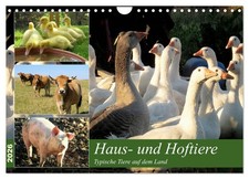 Haus- und Hoftiere (Wandkalender 2026 DIN A4 quer), CALVENDO Monatskalender