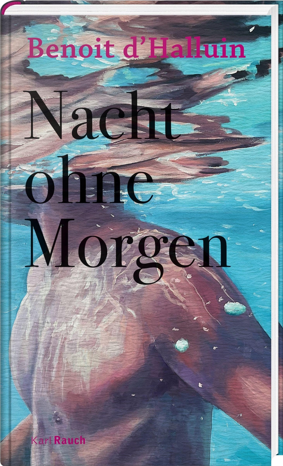 Thumbnail - Nacht Ohne Morgen Benoit D`halluin