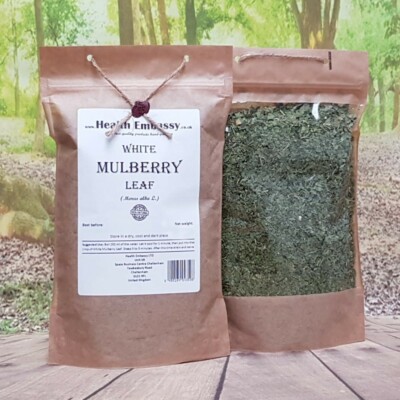 White Mulberry Leaf | Morus alba L | Pure Mulberry Herbal Tea | Health Embassy