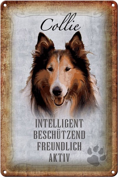 Blechschild Spruch 20X30 Cm Collie Hund Freundlich Geschenk Deko Schild Tin Sign-image