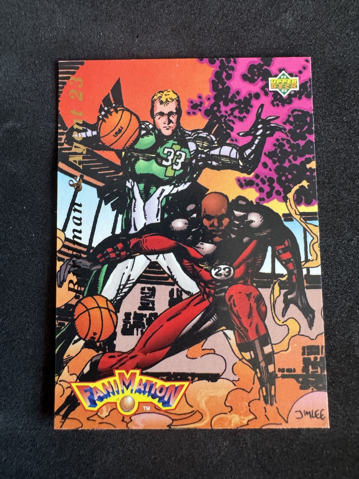 1993 Fanimation Michael Jordan / Larry Bird #510