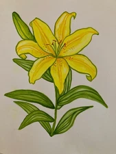 Yellow lily flower watercolor painting