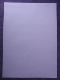 Poster Virtua Fighter 4: Birth of Phoenix Sega Saturn SS #c784c5