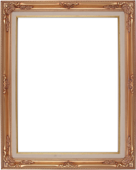 New HY-JO HD Ornate / Beaded Gold Leaf Frame with Liner 12