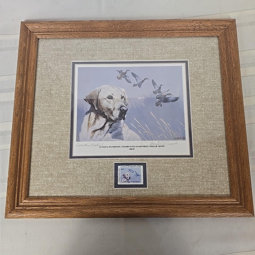 Picture 1 of 7