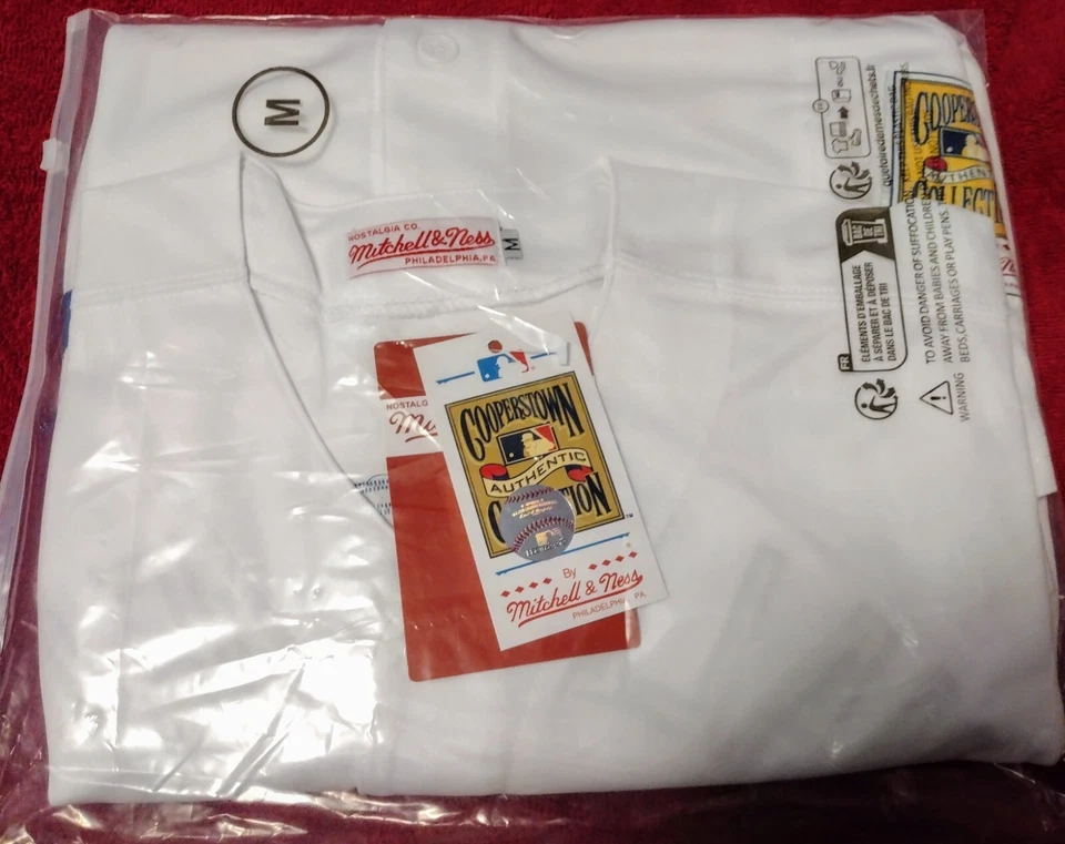 LOS ANGELES DODGERS FERNANDO VALENZUELA 1981 World Series Baseball Jersey - Image 3 of 4