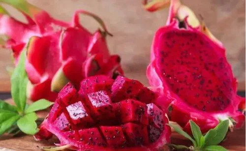 Red Dragon Fruit Seeds Pitaya Pitahaya Hylocereus Undatus Cactus Grow Rare 25++