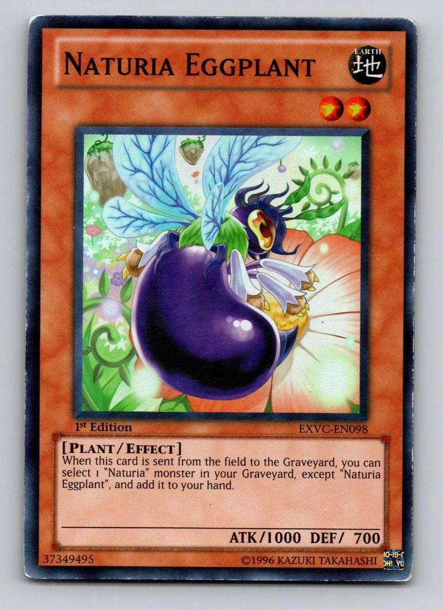25+ Naturia Deck for sale | Updated Oct 2026