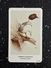 General Cigar Co Northern Birds by Fenwick Lansdowne Card 20 Common Goldeneye